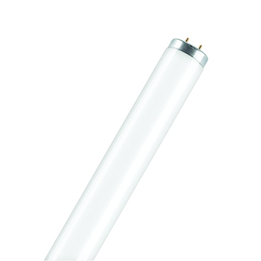 [ILU.06.851] [F20/D] Tubo fluorescente T12, 20W