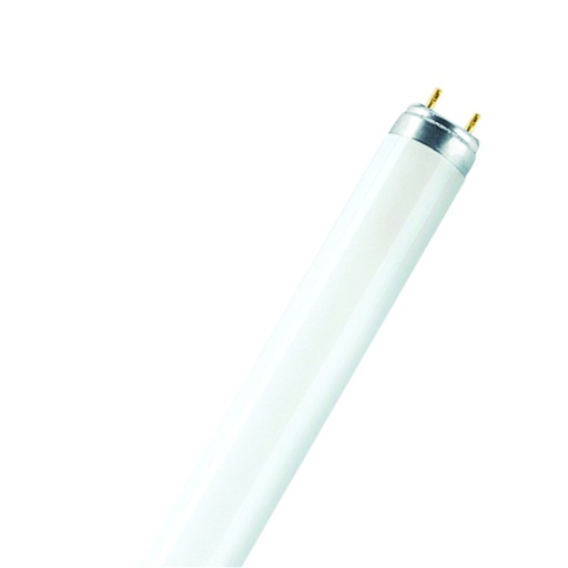 [ILU.06.462] [FO32/765_ECO] OSRAM Tubo fluorescente T8 ECO 48", 32W, 6500k, luz blanca